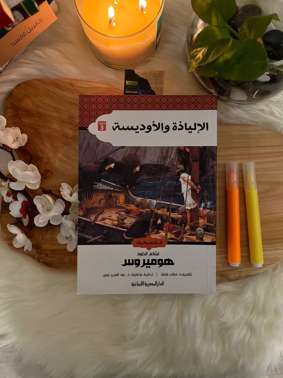 الإلياذة والاوديسة